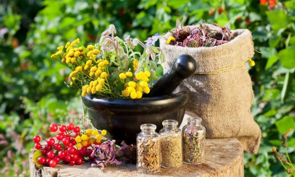 Herbs from helminths