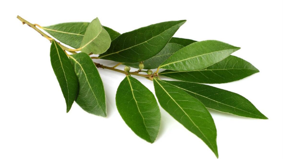 bay leaves as part of Normadex